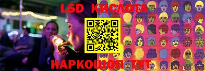 тгк Камышлов