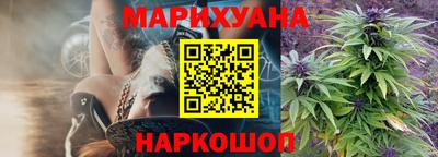 тгк Камышлов