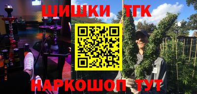 тгк Камышлов