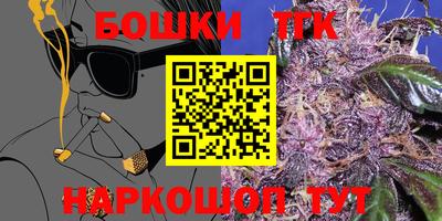 тгк Камышлов