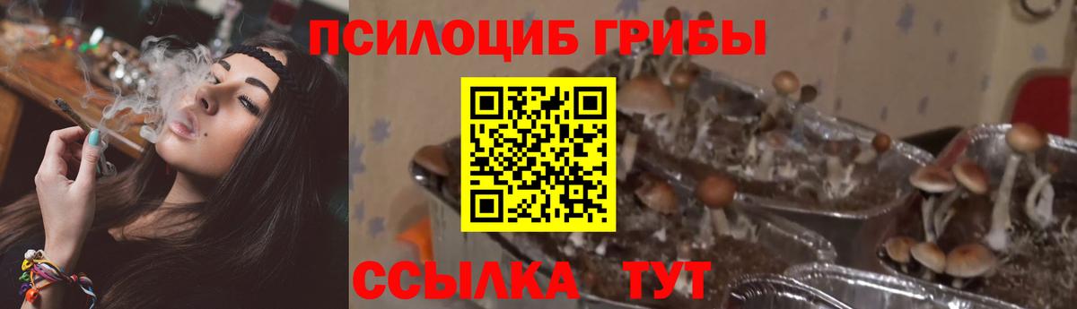 Галлюциногенные грибы ЛСД Кызыл